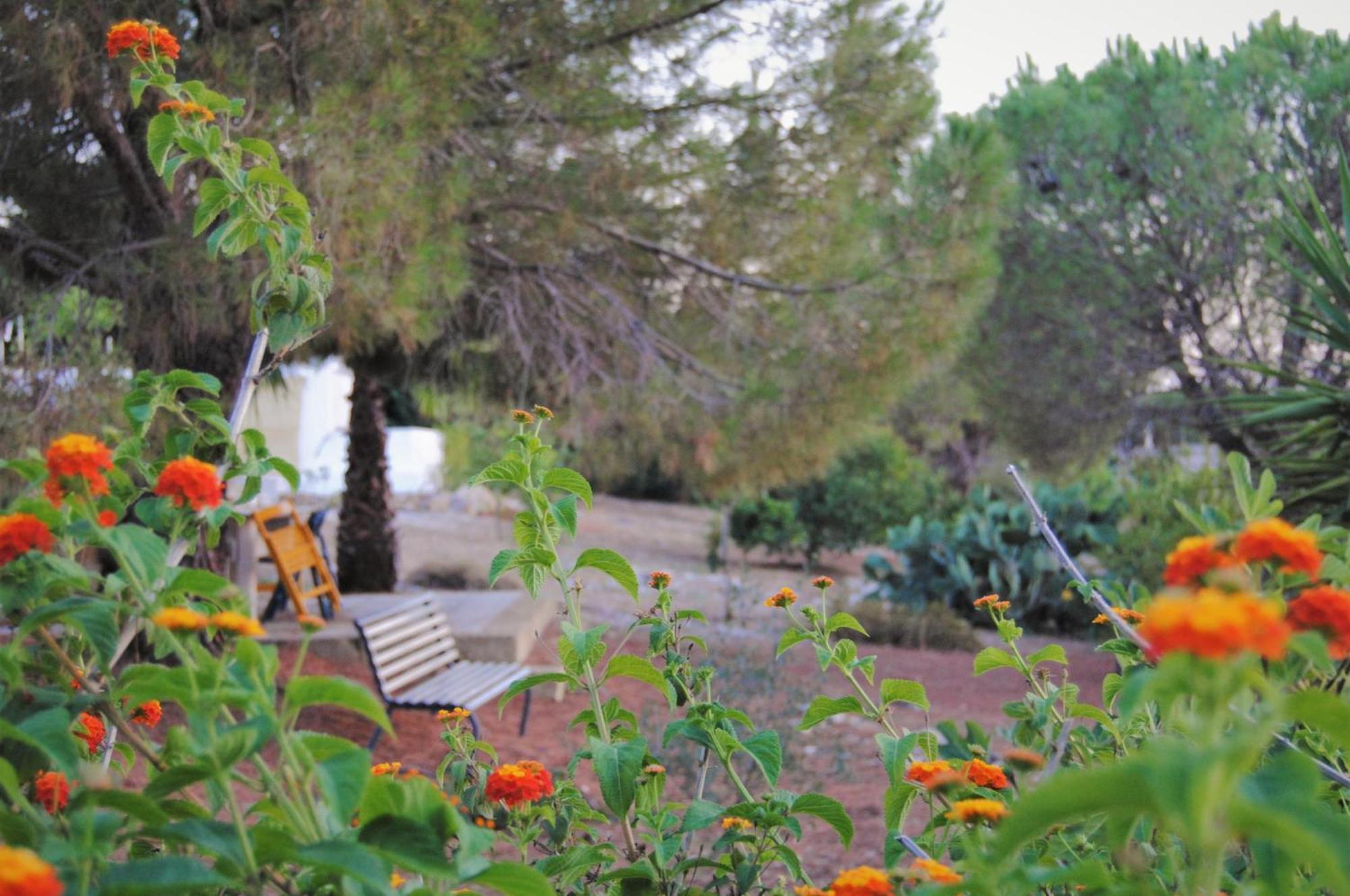 Villa Carola Gallipoli Bagian luar foto